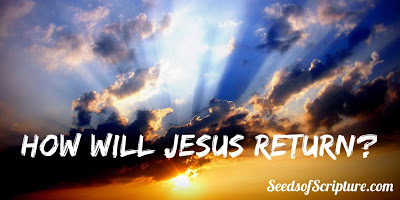 What to Expect When Jesus Comes Again - Seeds of Scripture