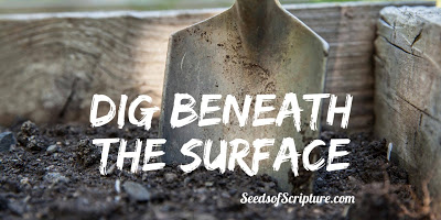 dig beneath the surface