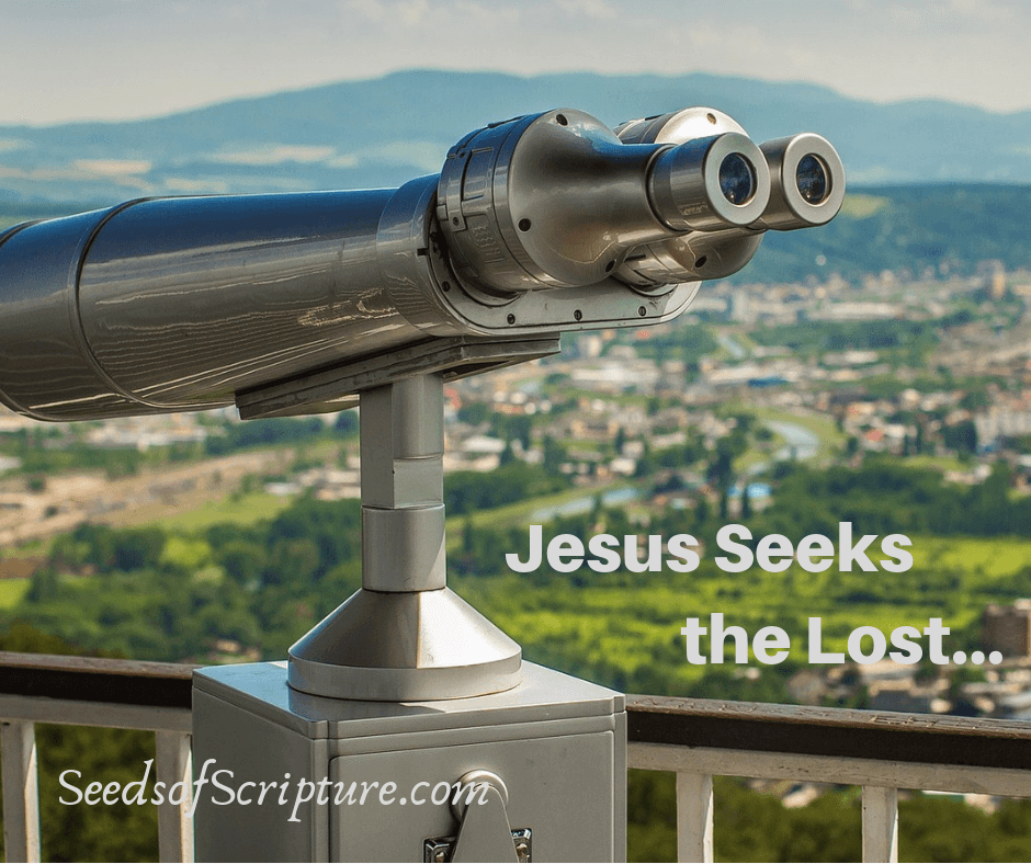 Jesus Seeks the Lost