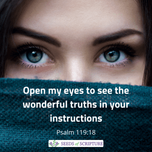 Help me see truth in God's commands