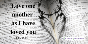 Love One Another as I have loved you