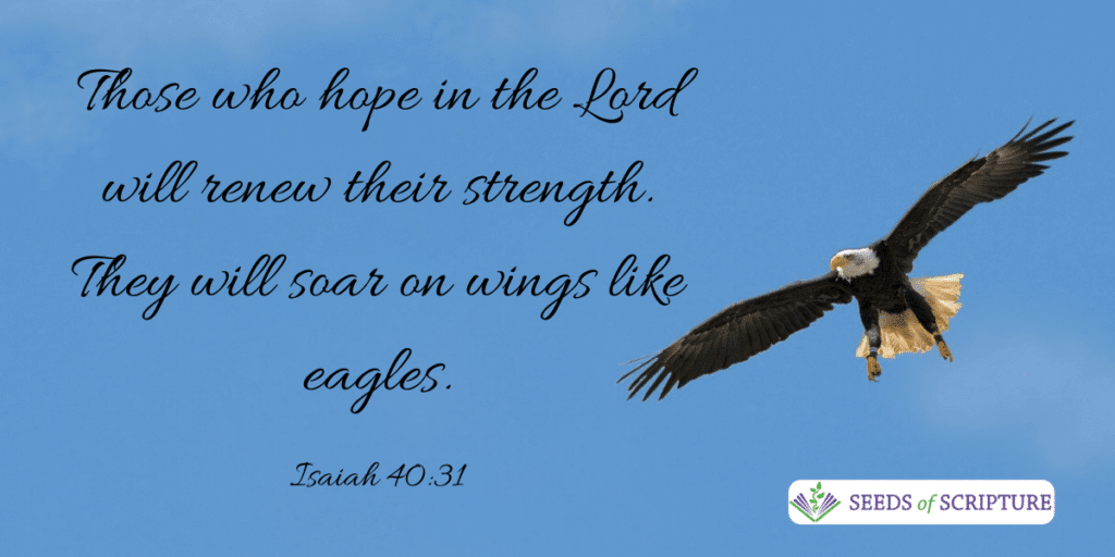 Those who hope in the lord will renew their strength. They will soar on wings like eagles. - Isaiah 40:31