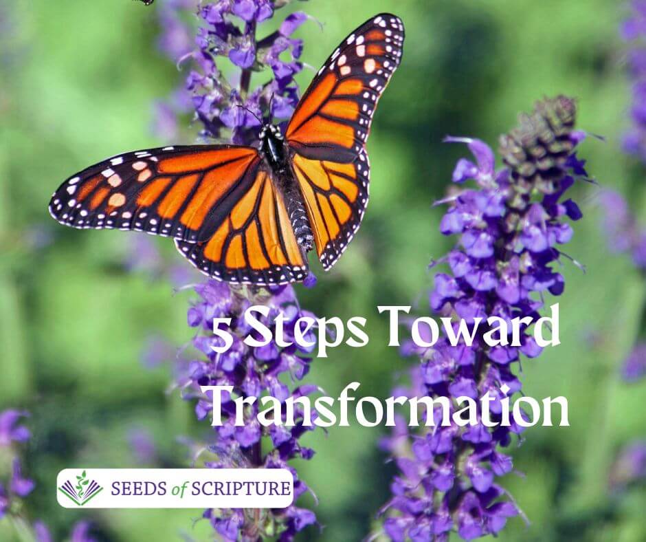 5 steps toward transformation