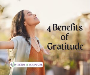 4 benefits of gratitude