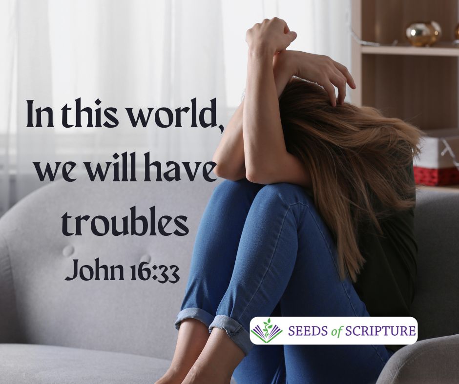 In this world we will have troubles. John 16:33