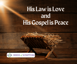 O Holy Night! His law is love and his gospel is peace.