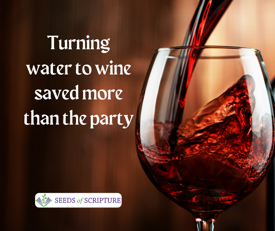 Turning water into wine saved more than the party