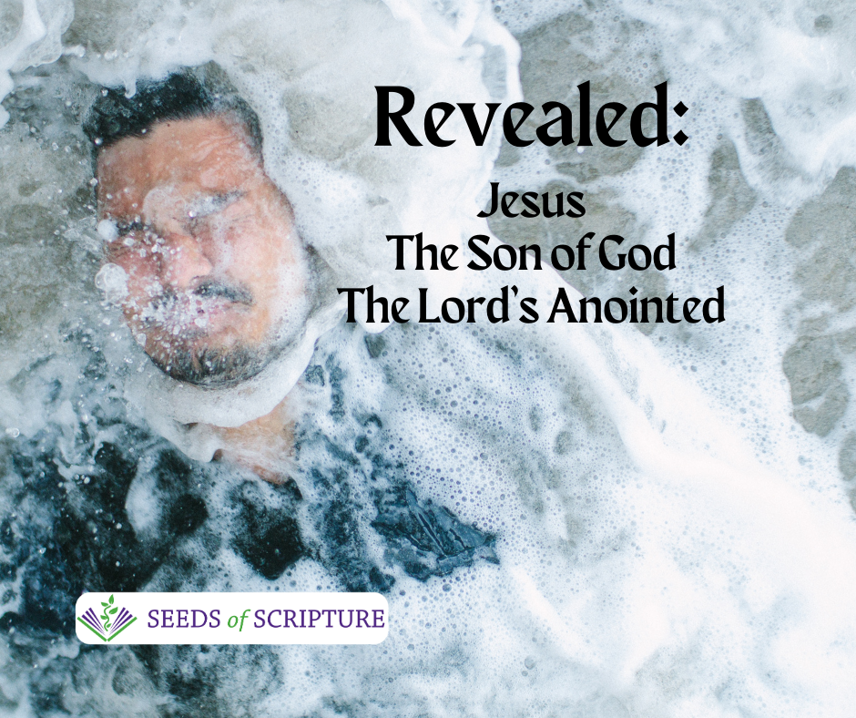 Revealed: Jesus is the Son of God, the Lord's Anointed One