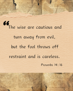 The wise are cautious and turn away from evil, but the fool throws off restraint and is careless. Proverbs 14:16