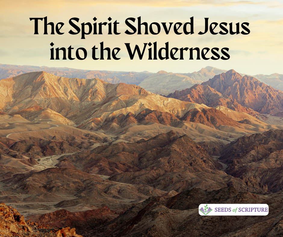 The Spirit shoved Jesus into the wilderness