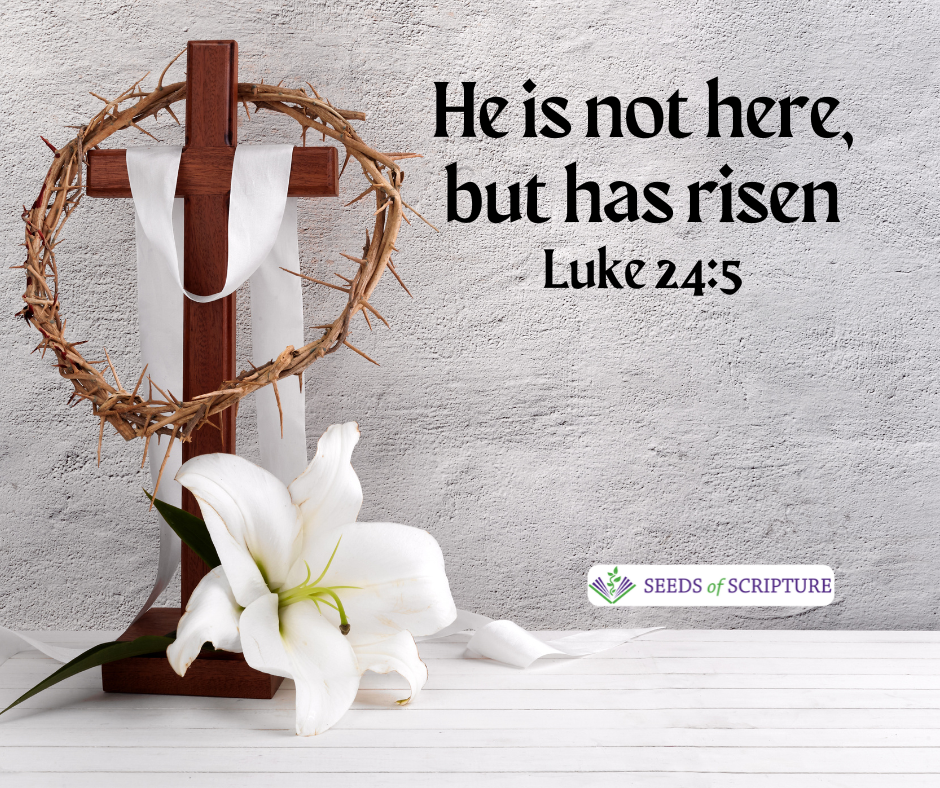 He is not here, but has risen. Luke 24:5