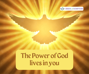 The Holy Spirit empowers every believer
