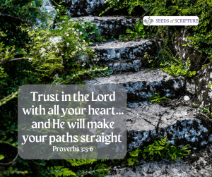 Trust in the Lord with all you heart and He will make your paths straight. Proverbs 3:5-6