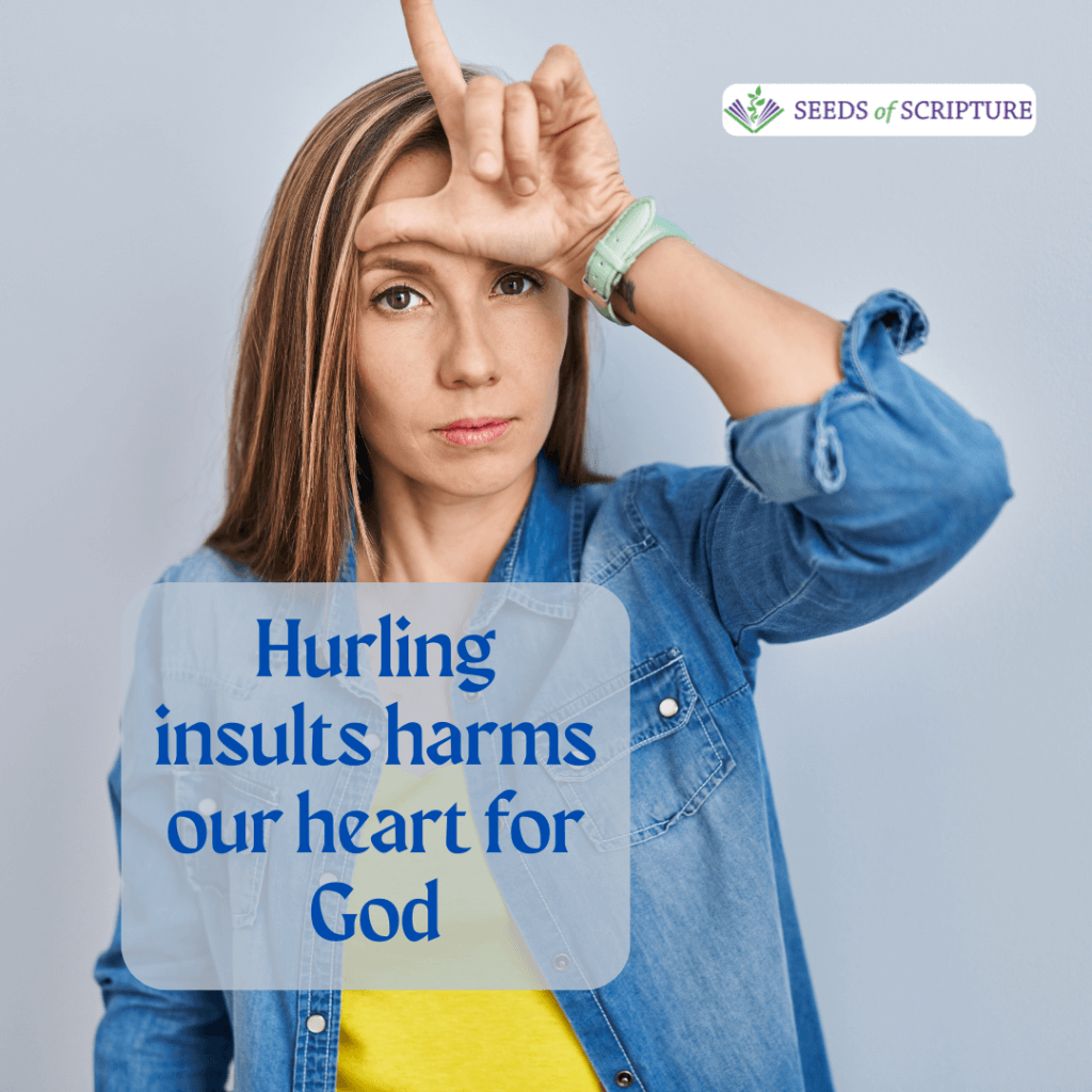 Hurling insults harms our heart for God. No creature of God is a good for nothing