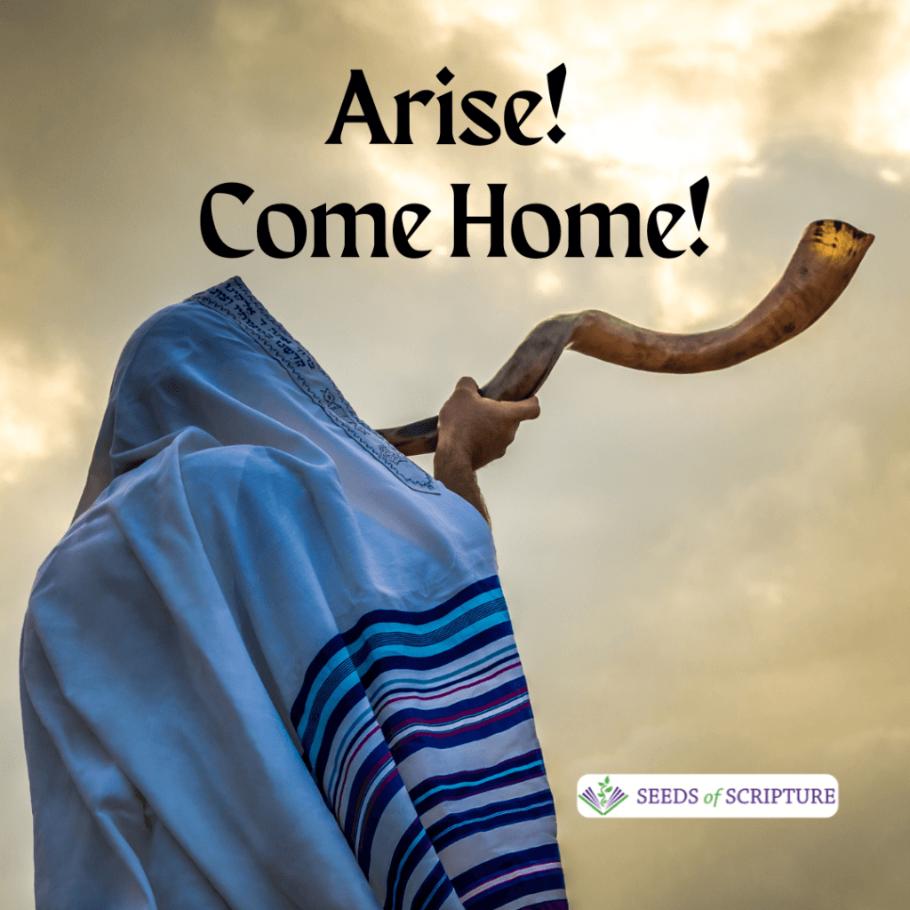 Arise! Repent! Come home to God!