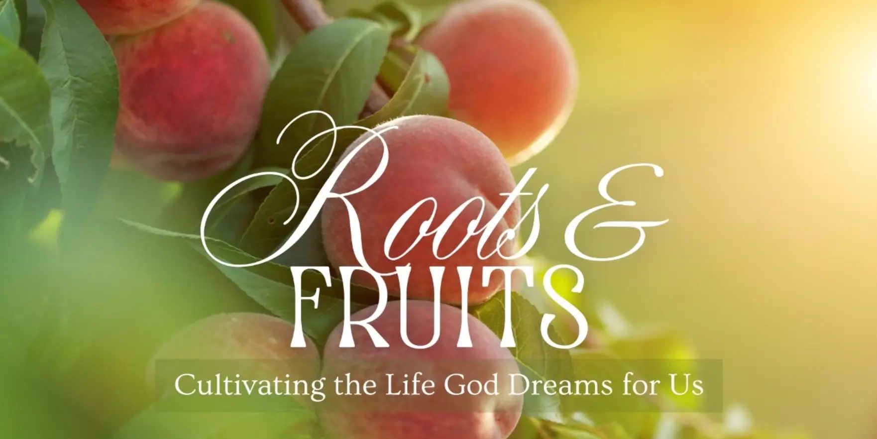 Roots & Fruits Cultivating the Life God Dreams for Us
